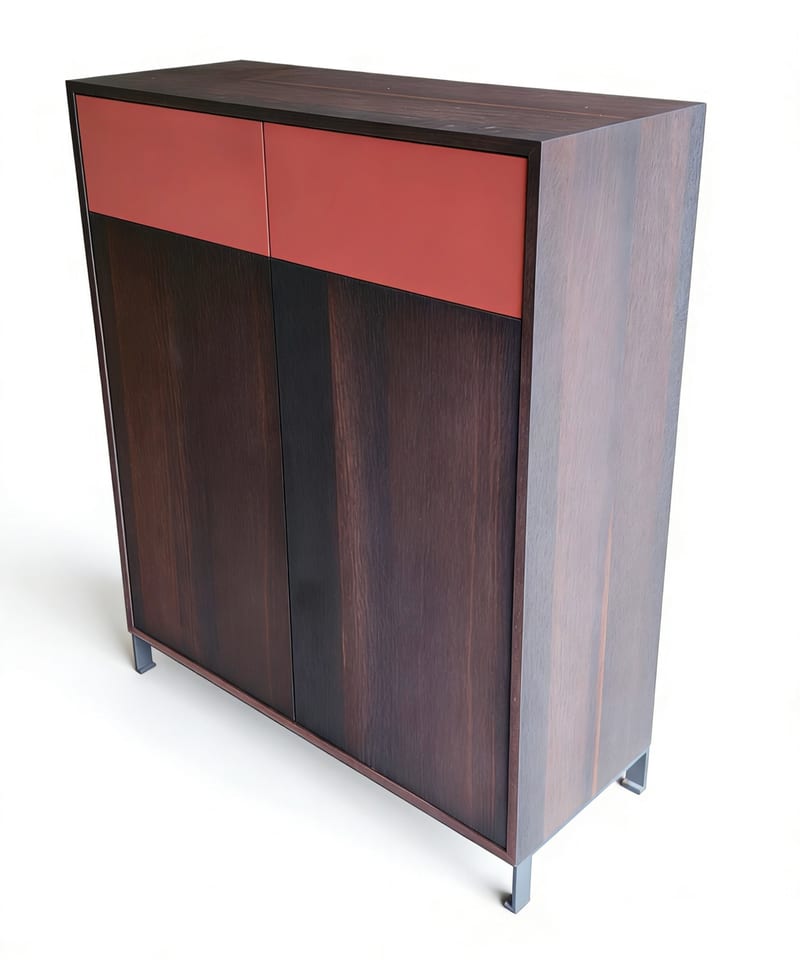 G·T home Metal Lacquered Entryway Shoe Cabinet