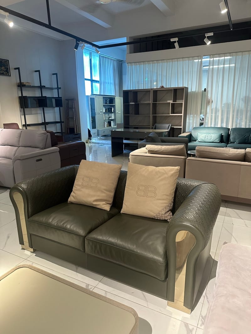 Bosen Jizhi Beini BS51-3 Leather Two-Seat Sofa