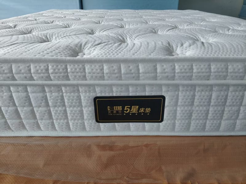 Cheers Cloud D090 Nine-Zone Pocket Spring Mattress