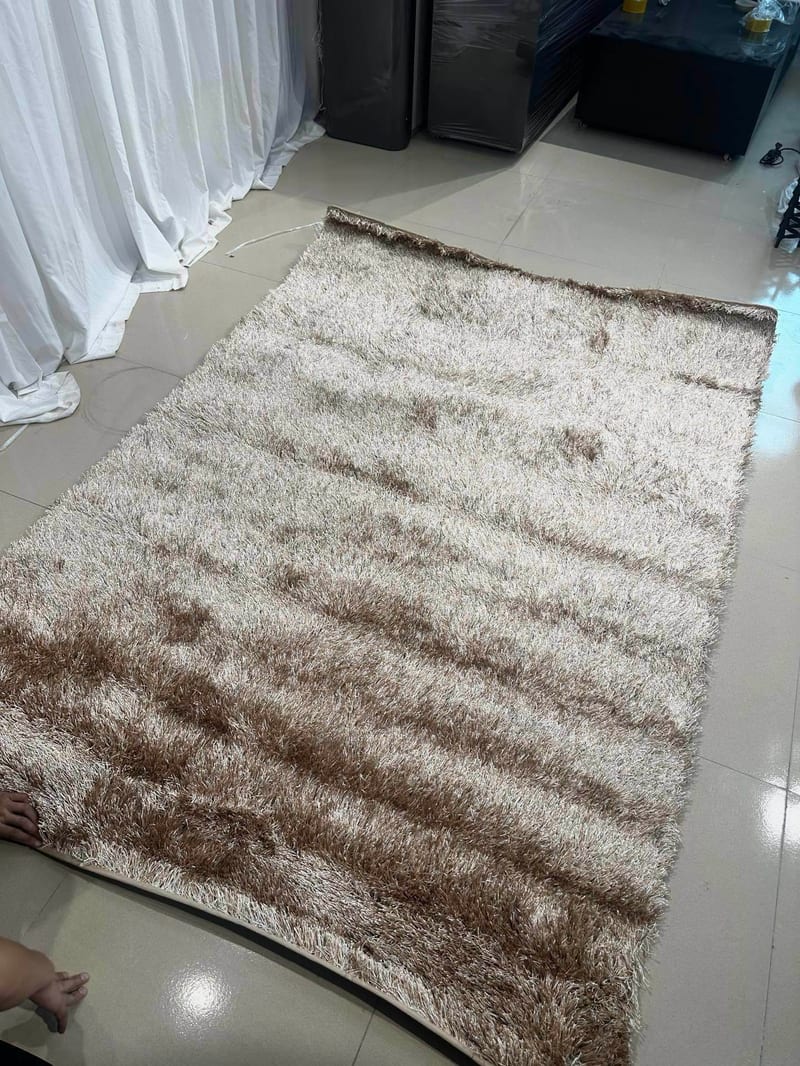 Aililan DT-1107 Beige Rectangular Area Rug