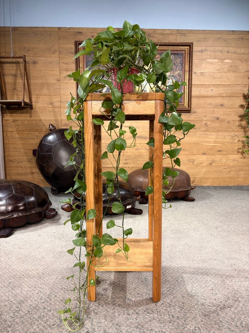 Solid Wood Two-Tier Tall Plant Stand