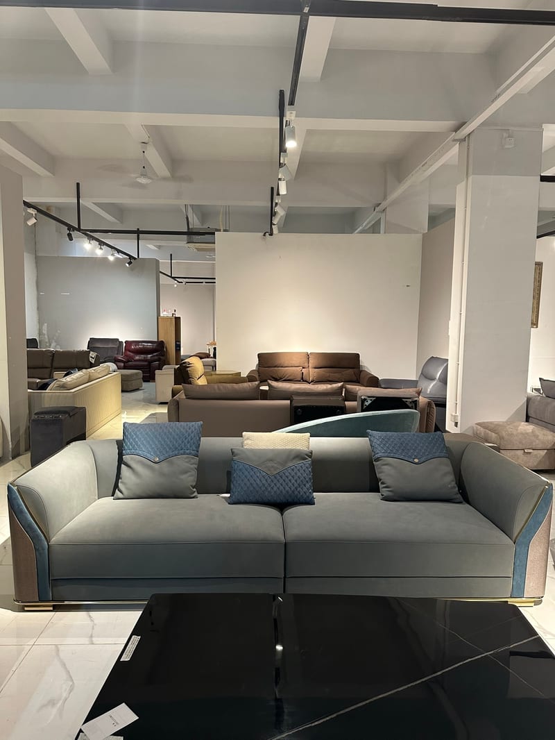 Bosen Jizhi Beini BS39 Aniline Leather Sectional Sofa