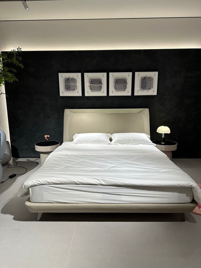 Foshan Brand DX-Baoshi Top-Grain Leather Bed