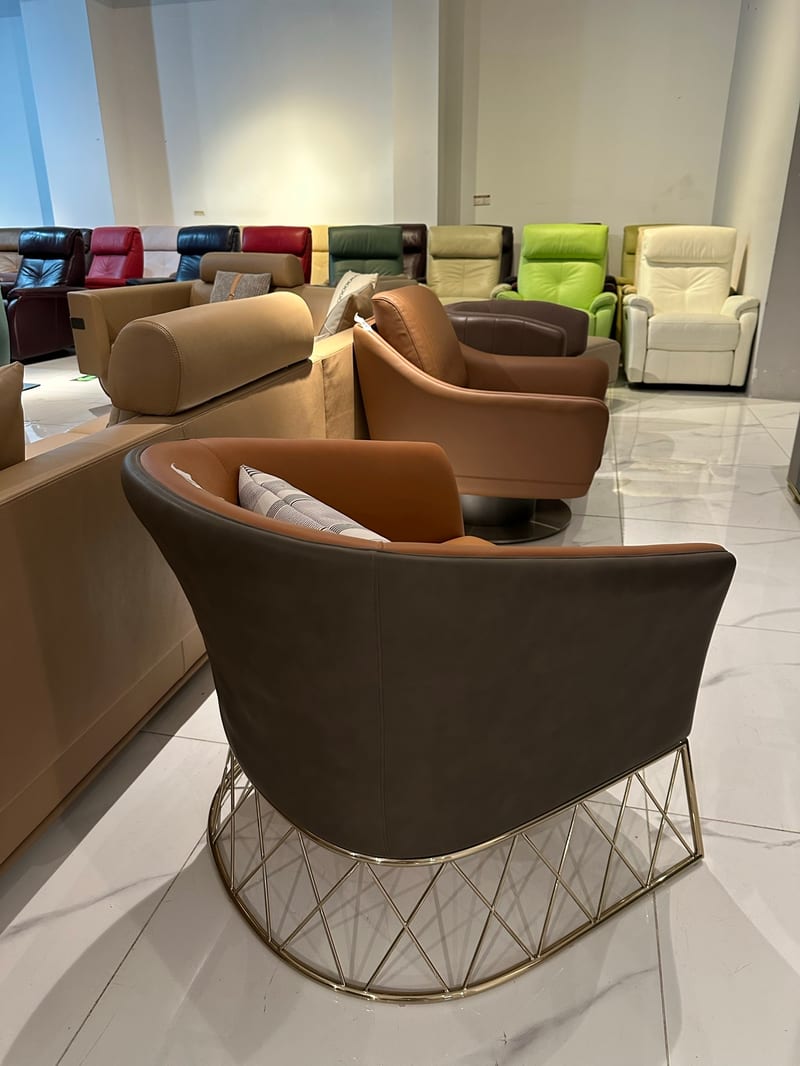 Basen Jizhi Beini BS135 Italian Leather Lounge Chair